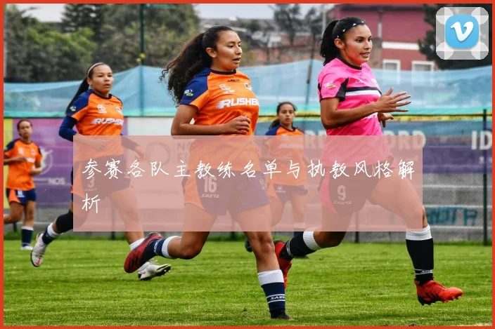 参赛各队主教练名单与执教风格解析